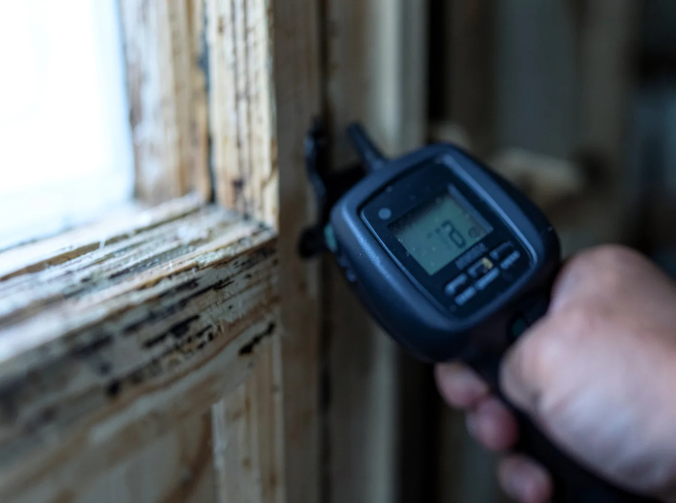 Commercial Water Damage Restoration in New Leipzig, ND